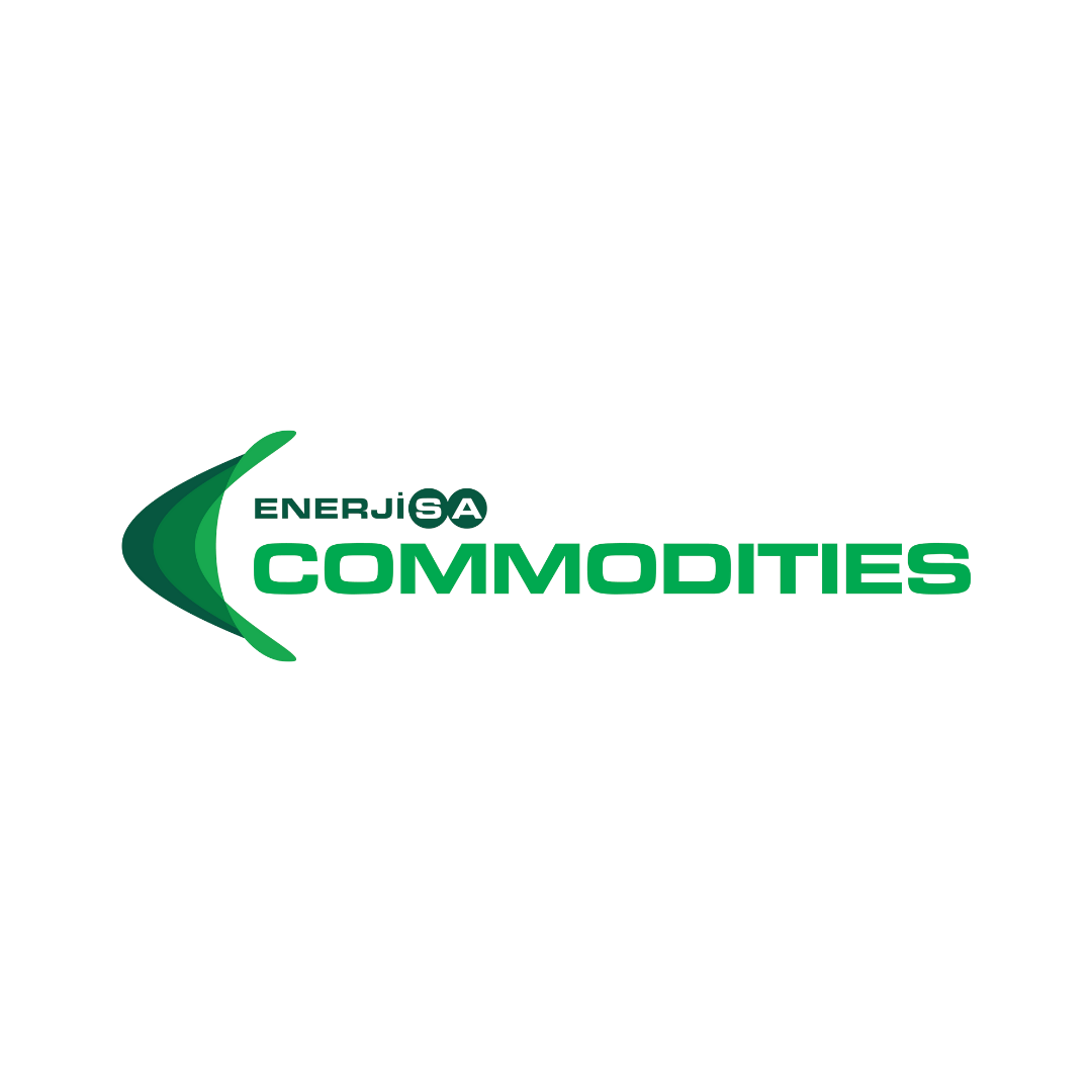 Enerjisa Commodities Ofis Gezisi