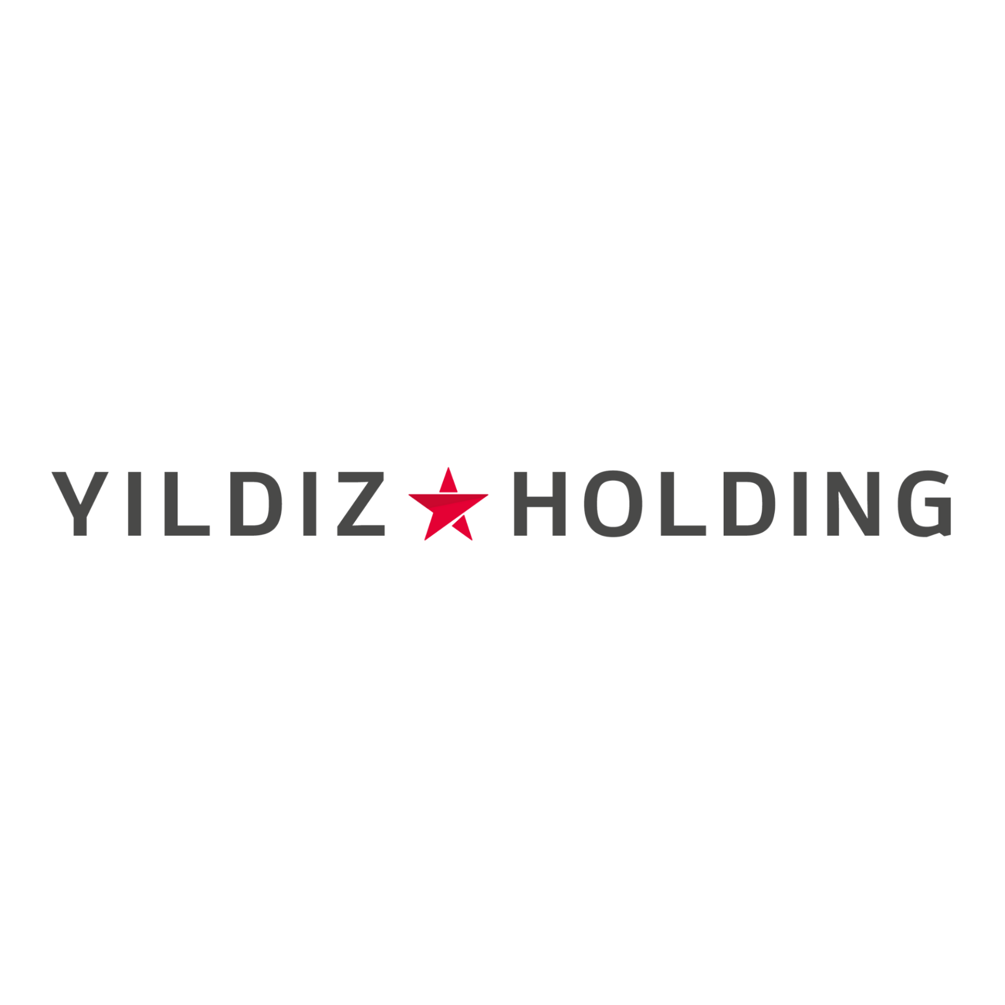 Yıldız Holding