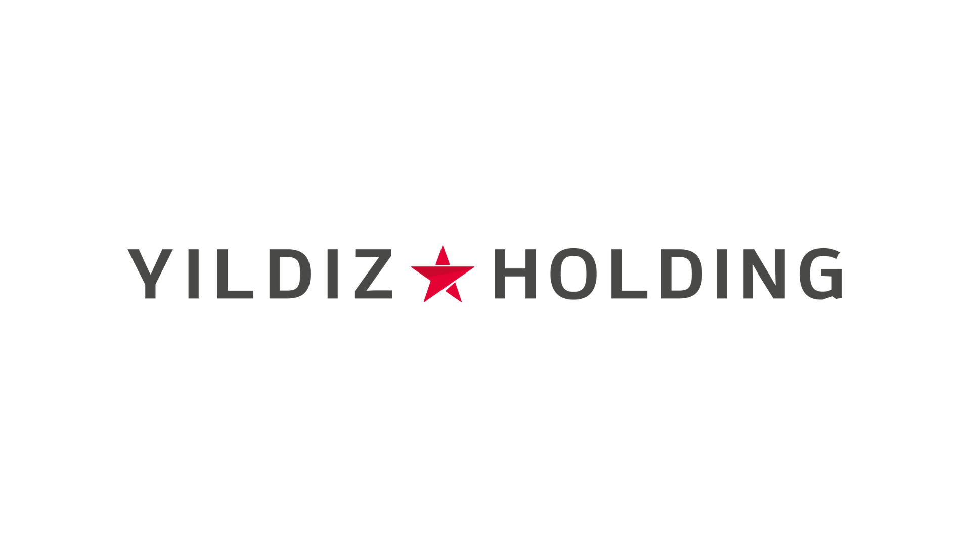 Yıldız Holding